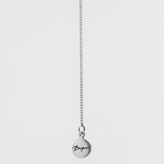 Лебідка в сріблі - 5