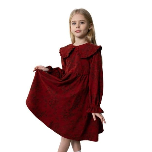 Сукня фланелева для дівчинки Alwair Kids - 1