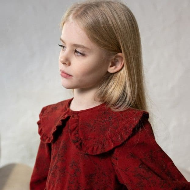 Сукня фланелева для дівчинки Alwair Kids - 4